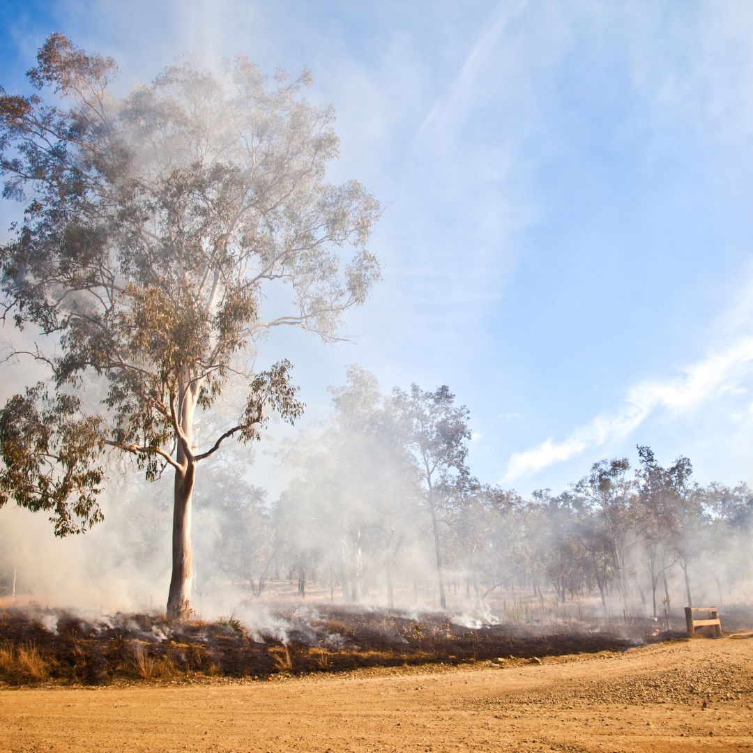 Bushfire Management Image