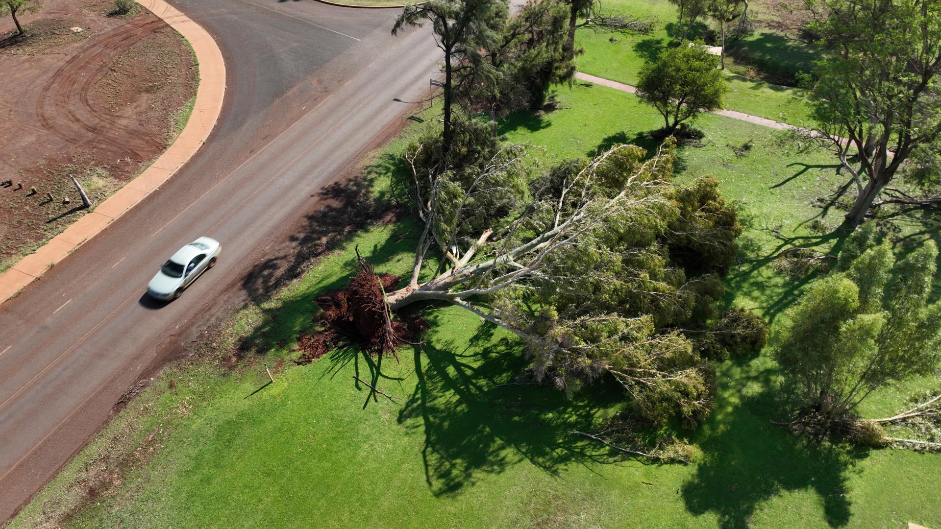 Storm Cleanup 5pm Update