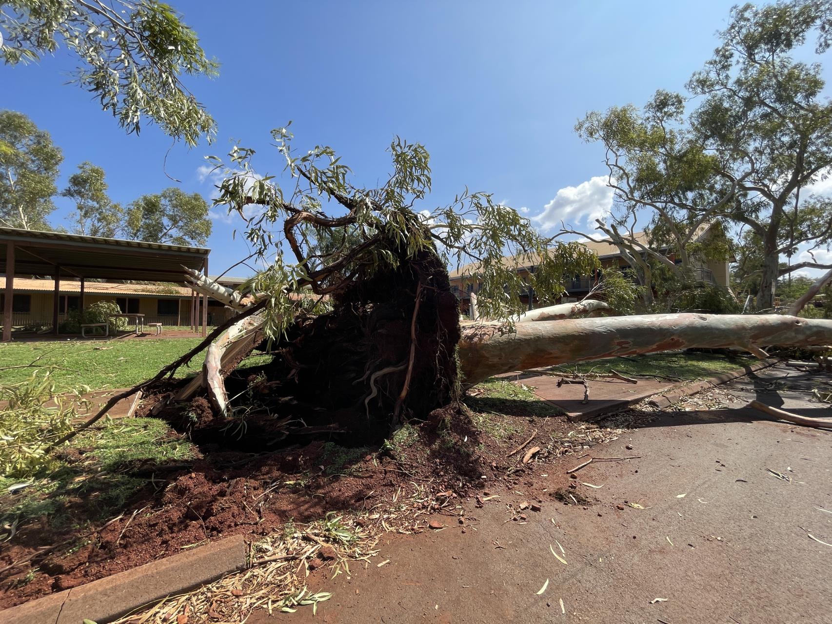 Tom Price Storm Update – Thursday, 21 November 2024