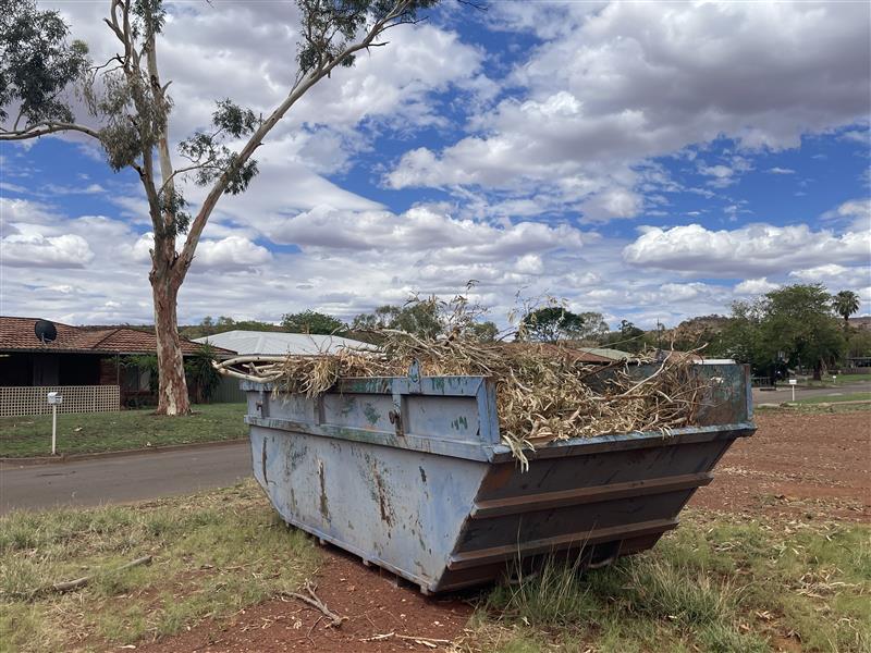 Green Waste Bin Allocation Extended